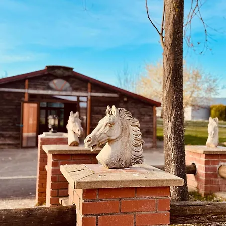 Semesterbostad Solgne